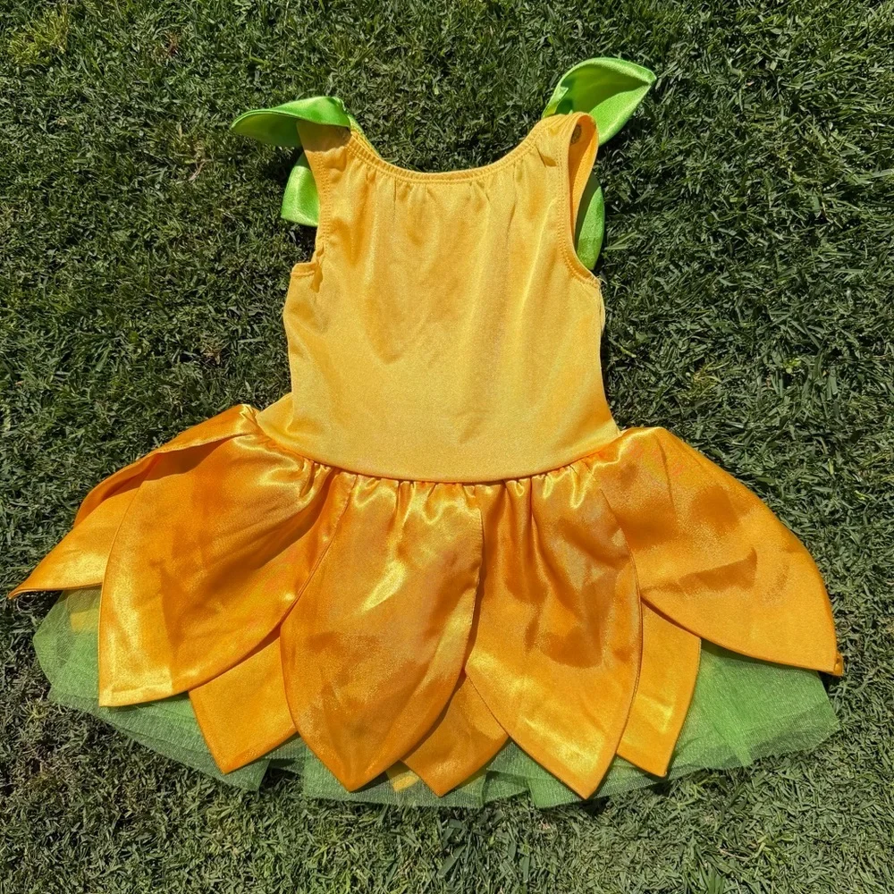 Y2K Gymboree Sunflower Fairy Costume Dress Bright Colorful Spring 18-24 Mos GUC